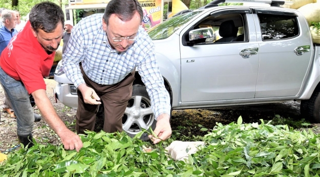 ÇAYKUR’UN ÜRETİMDE VERİMLİLİK, SATIŞ VE TASARRUF HEDEFLERİ BİR BİR TUTUYOR