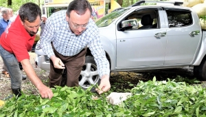 ÇAYKUR’UN ÜRETİMDE VERİMLİLİK, SATIŞ VE TASARRUF HEDEFLERİ BİR BİR TUTUYOR