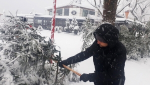 Ağaç Dalları Kar Yükünden Temizleniyor