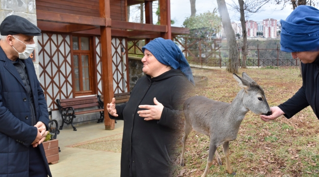 Parktaki karacaya anne şefkatiyle bakıyor