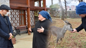 Parktaki karacaya anne şefkatiyle bakıyor