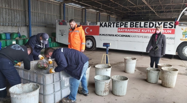 KARTEPE’DE KATI ATIK KARAKTERİZASYONU