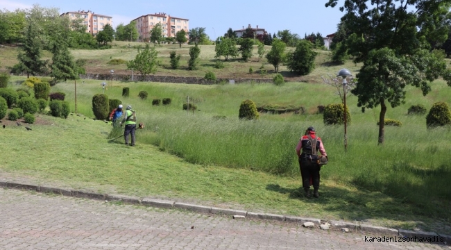 PARK BAHÇELER DE YOĞUN ÇALIŞMA