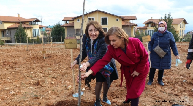 Safranbolu Belediyesinden 55 Bin Ağaçlandırma