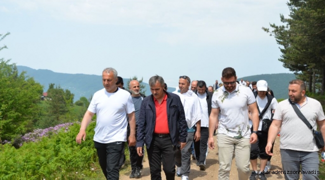 HENDEK'TE DOĞA YÜRÜYÜŞÜ