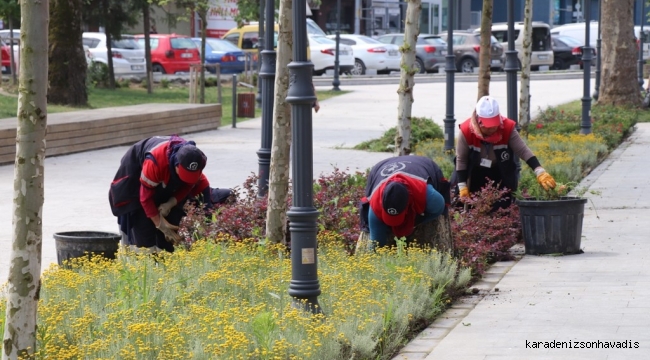 MİLLET BAHÇESİ RENGÂRENK