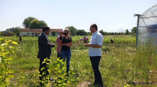 GÜNDEN’DEN ORGANİK TARIM ÇALIŞMALARINA YAKIN MARKAJ