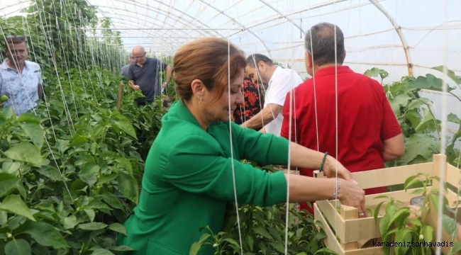 Köse, Meclis Üyelerini Sera'da Ağırladı