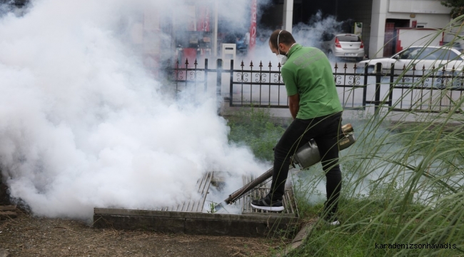 Rize Belediyesi 3 ayrı ekip ile ilaçlama çalışmalarını sürdürüyor