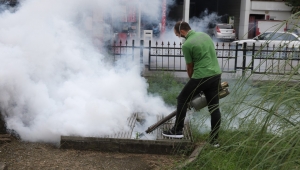 Rize Belediyesi 3 ayrı ekip ile ilaçlama çalışmalarını sürdürüyor