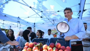 KARTEPE’NİN ŞEFTALİSİ ORMANYA’DA GÖRÜCÜYE ÇIKTI