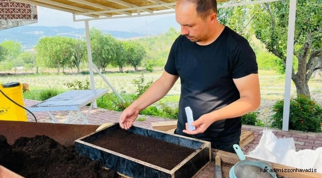 Safranbolu Belediyesi Serasında Kış Hazırlığı 