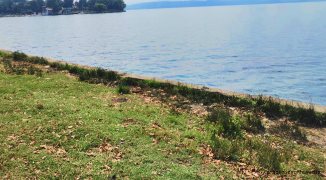 Sapanca Gölü kıyısından 23 torba çöp çıktı