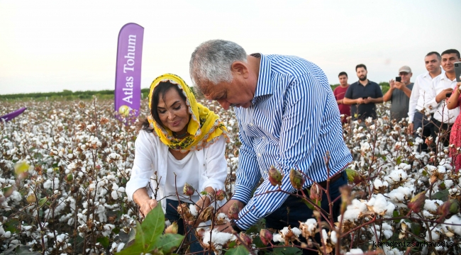 Türkan Şoray, kendi adının verildiği pamuğun hasadına katıldı