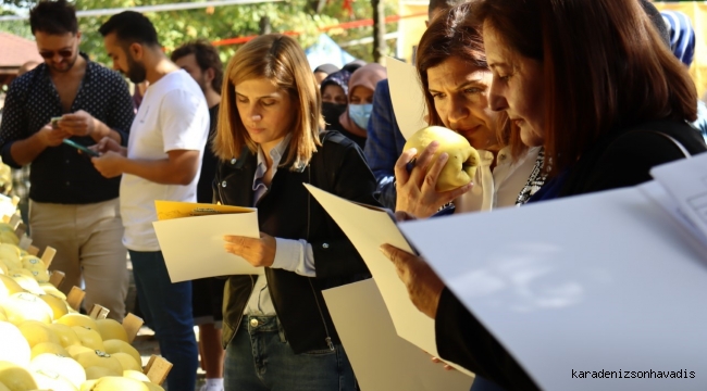 KARTEPE’DE TÜRKİYE’NİN EN GÜZEL AYVALARI YARIŞTI