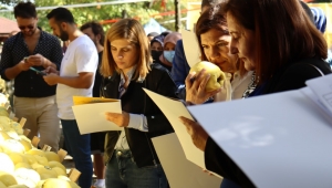 KARTEPE’DE TÜRKİYE’NİN EN GÜZEL AYVALARI YARIŞTI