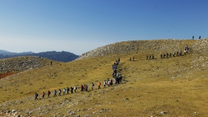 Doğanın sesini Dikmen’de dinlediler: Büyükşehir’le keşfe devam