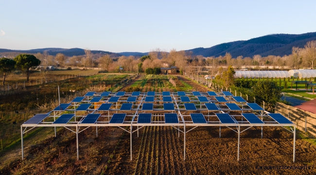 Enerjisa Üretim, Komşuköy iş birliği ile Agrivoltaik tarıma başlıyor