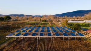 Enerjisa Üretim, Komşuköy iş birliği ile Agrivoltaik tarıma başlıyor