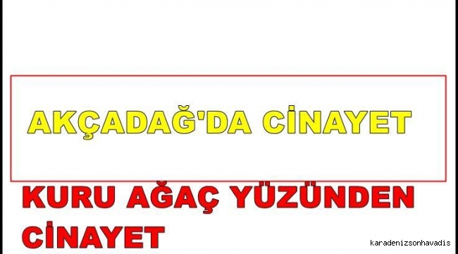 Kuru ağaç yüzünden cinayet işlendi