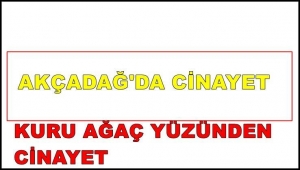 Kuru ağaç yüzünden cinayet işlendi