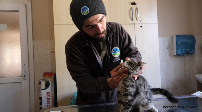 Büyükşehir veteriner ekibi Antakya’da can dostlarının yaralarını sarıyor