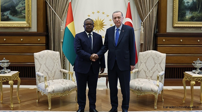 Cumhurbaşkanı Erdoğan, Gine Bissau Cumhurbaşkanı Embalo ile görüştü