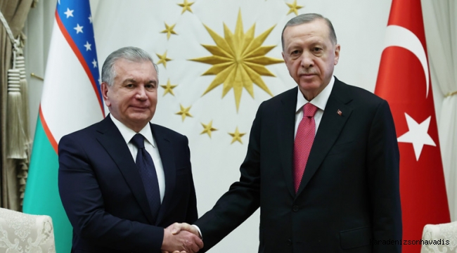 Cumhurbaşkanı Erdoğan, Özbekistan Cumhurbaşkanı Mirziyoyev ile bir araya geldi