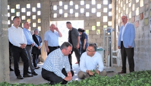 ÇAYKUR’DA KONTENJANSIZ ÇAY ALIMLARI DEVAM EDİYOR