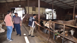 Kartepe'de kurban satışına sıkı denetim