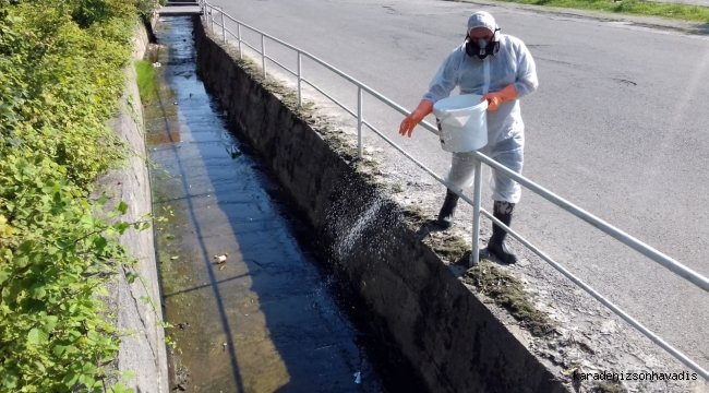 Kdz. Ereğli Belediyesi, sivrisineklere karşı ilaçlama çalışmalarına başladı