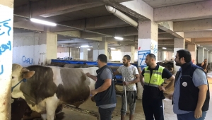 Kurban pazarında denetim ve dezenfeksiyon çalışmaları devam ediyor