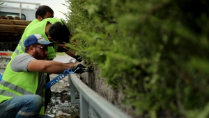 Sakarya'ya gelenler huzur veren bir görüntüyle karşılanacak