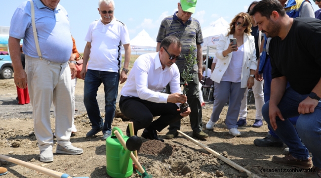 Silivri'de 5.100 adet yağlık zeytin fidanı toprakla buluştu