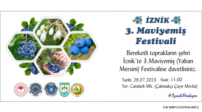 İZNİK MAVİYEMİŞ (YABAN MERSİNİ) FESTİVALİ