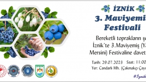 İZNİK MAVİYEMİŞ (YABAN MERSİNİ) FESTİVALİ