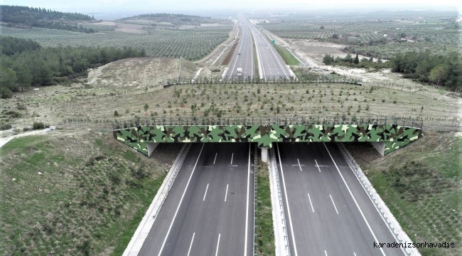 “EKOLOJİK KÖPRÜLER YABAN HAYVANLARININ GÜVENLİ GEÇİŞLERİNİ SAĞLIYOR