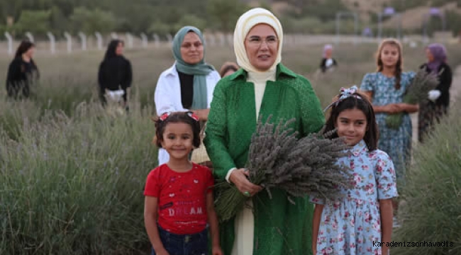 Emine Erdoğan, Ankara'da Ekolojik Köy’ü ziyaret ederek lavanta hasadı yaptı