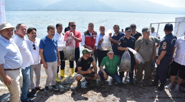 EŞME’DE SAPANCA GÖLÜNE 100 BİN SAZAN SALINDI