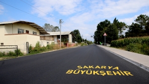 Büyükşehir Budaklar’da asfalt çalışmalarını tamamladı