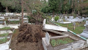 Fırtınada hasar gören mezarların tespitleri yapılıyor