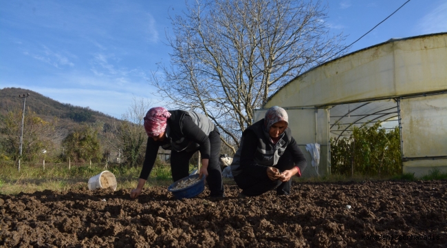 ÇAYBEL’in üretken kadınları