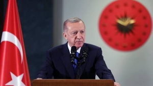 Erdoğan: Başıboş sokak hayvanlarıyla ilgili artan şikâyetlerin farkındayız