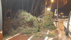 Ordu'da şiddetli fırtına etkili oldu