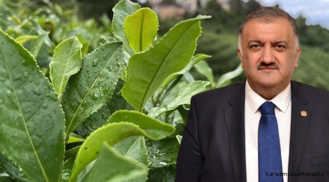 Karal: Açıklanan çay alım fiyatı 205 bin çay üreticimiz için tam bir hayal kırıklığı