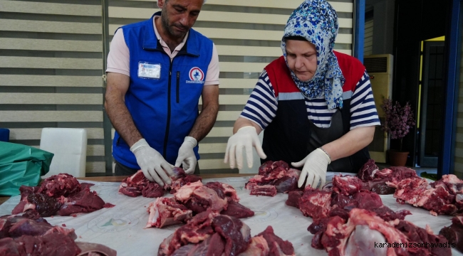 DÜZCE BELEDİYESİ GÖNÜL KÖPRÜLERİ KURDU