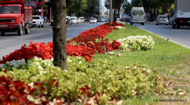 Şehrin en işlek caddeleri Büyükşehir’in dokunuşuyla çiçek bahçesine dönüşüyor