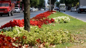 Şehrin en işlek caddeleri Büyükşehir’in dokunuşuyla çiçek bahçesine dönüşüyor
