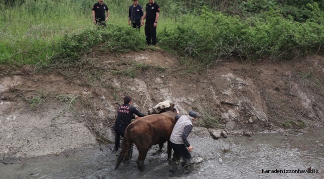 İTFAİYE MÜDÜRLÜĞÜ 6 AYLIK RAPORUNU PAYLAŞTI