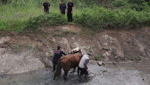 İTFAİYE MÜDÜRLÜĞÜ 6 AYLIK RAPORUNU PAYLAŞTI